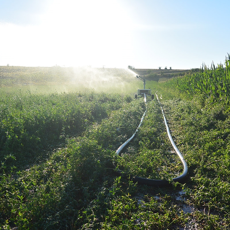 irriforce-midi-10_a38f7