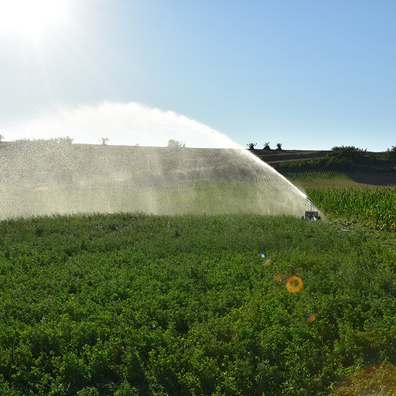 irriforce-midi-9_3917e